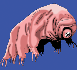 Tardigrade_Glam