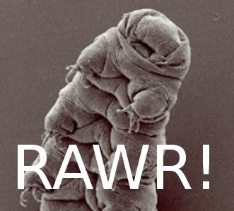 tardigrade-rawr